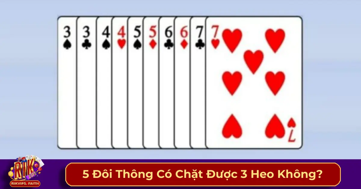 5 đôi thông là gì? Cách nhận biết và sử dụng