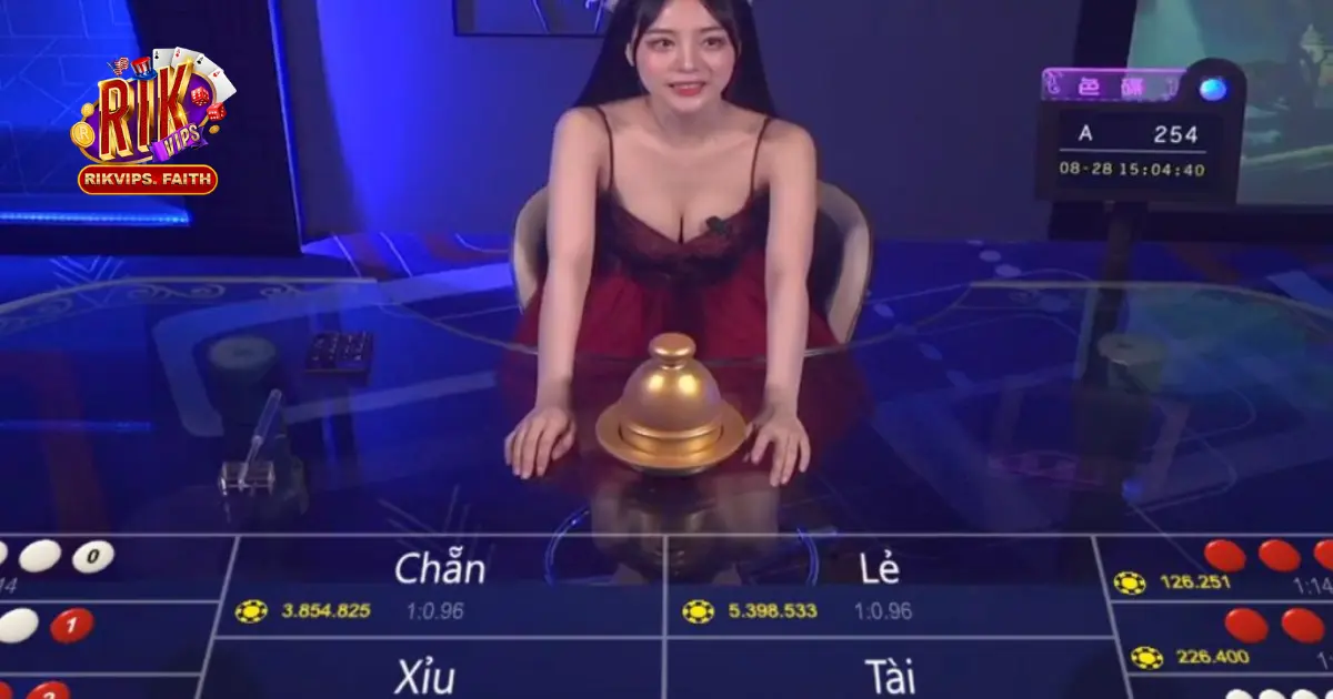 Đặt cược theo cảm tính, không có chiến thuật